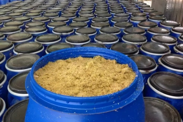 红薯渣怎样做饲料，要先将其进行发酵