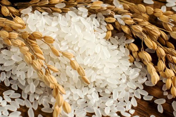 粳米的产地，主产于河南、湖北等省份