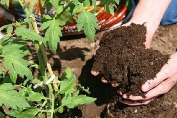 冷性肥料和热性肥料的简介，热性肥料在堆放期间会产生50℃以上的高温