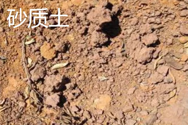 壤土沙质土粘质土的区别，颗粒大小、透水性等方面明显不同