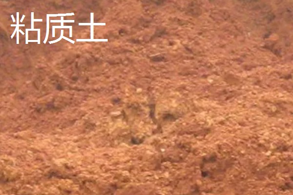 壤土沙质土粘质土的区别，颗粒大小、透水性等方面明显不同