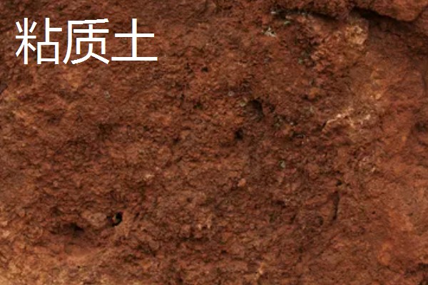 壤土沙质土粘质土的区别，颗粒大小、透水性等方面明显不同