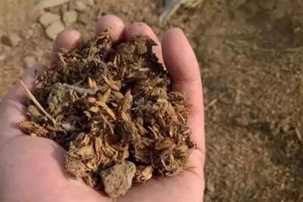西瓜育苗用哪些肥料，底肥一般用腐熟的有机肥
