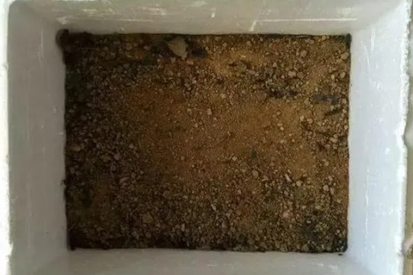 豆腐渣直接晒干能当肥料吗，可以当肥料