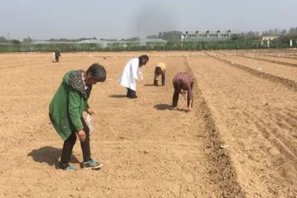 杜仲树的产地，主要分布于甘肃、陕西等地