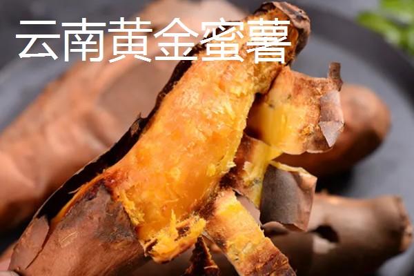 哪些红薯比较好吃，烟薯25、普薯32等品种都有不错的口感