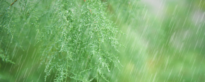 梅雨期怎么防范，要提前做好江河湖库防洪