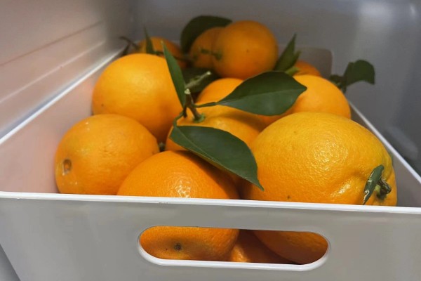 橙子可以放多久,在冰箱内可存放2个月左右