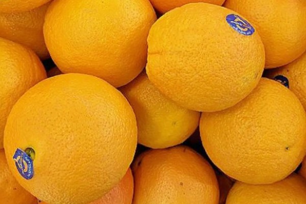 橙子可以放多久,在冰箱内可存放2个月左右