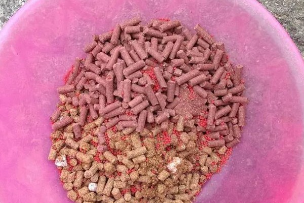 筏钓用哪种饵料，可选择蚯蚓、玉米粒等