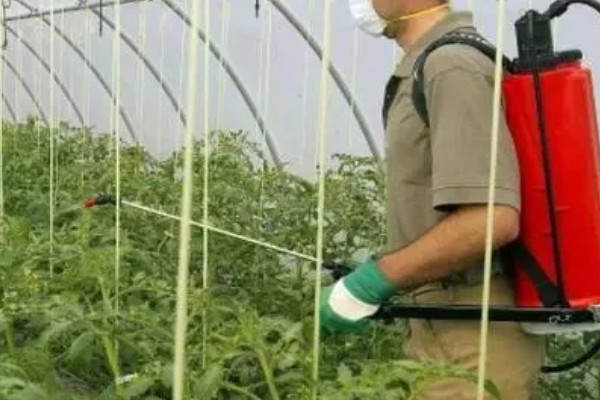 二甲戊灵的用法用量，针对不同作物的使用方法不同