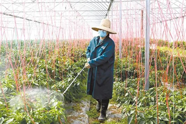 二甲戊灵的用法用量，针对不同作物的使用方法不同