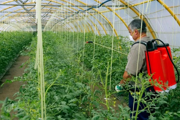 二甲戊灵的用法用量，针对不同作物的使用方法不同