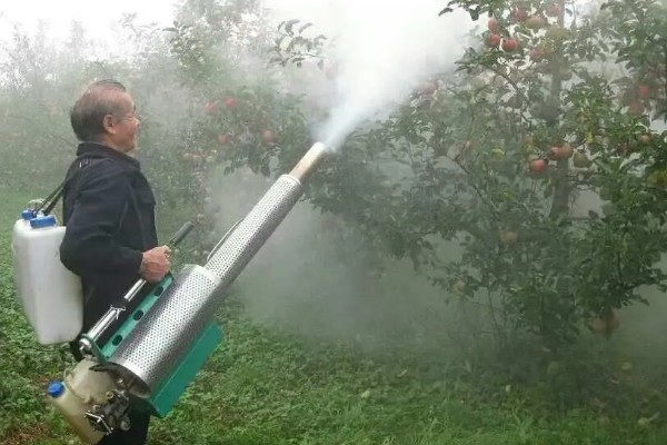 一喷红一般几天见效，通常1天见效