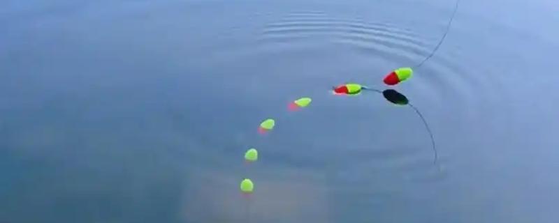 七星漂怎么安装，要先将漂豆安装好