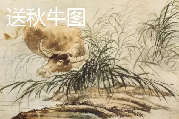秋分的小秘密，秋分后，阳光直射位置由赤道转移至南半球