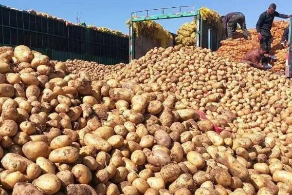 土豆走高速是不是绿通，属于绿通产品