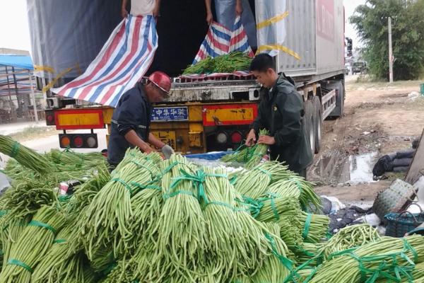 土豆走高速是不是绿通，属于绿通产品