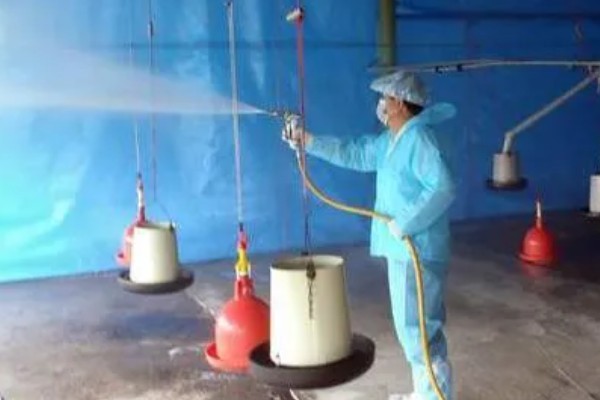 小鹅瘟有什么症状，急性发病具有粪便呈黄白色、死前抽搐等表现