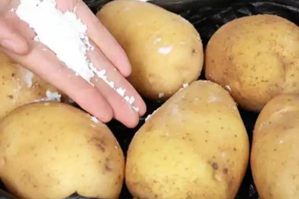 土豆走高速是不是绿通，属于绿通产品