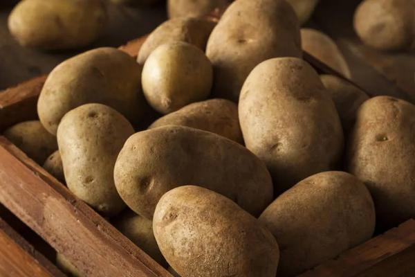 土豆走高速是不是绿通，属于绿通产品