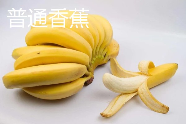 芝麻蕉产于哪里，分布在广东、海南和云南