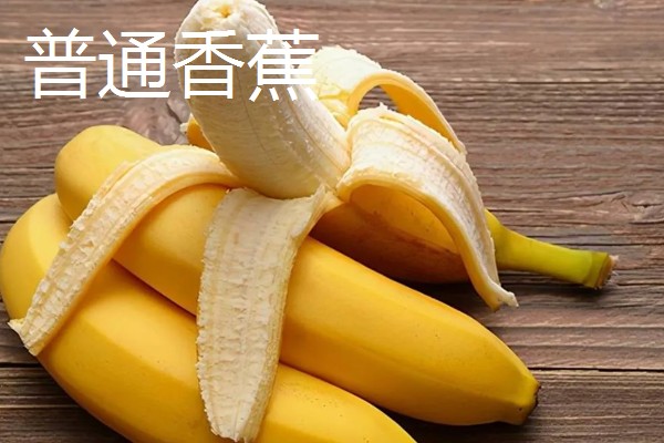 芝麻蕉产于哪里，分布在广东、海南和云南