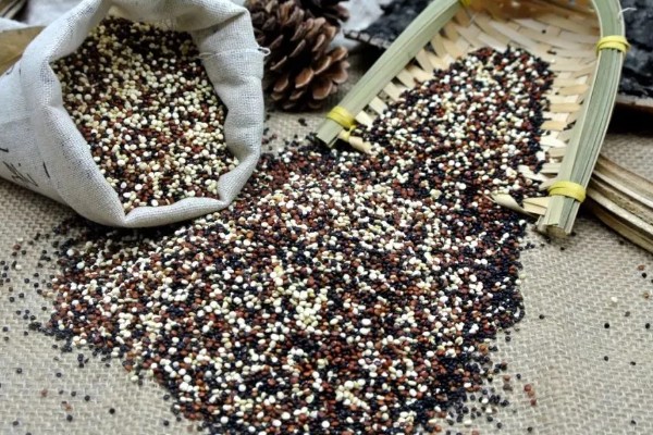 藜麦的营养价值,含有完全蛋白并不含麸质