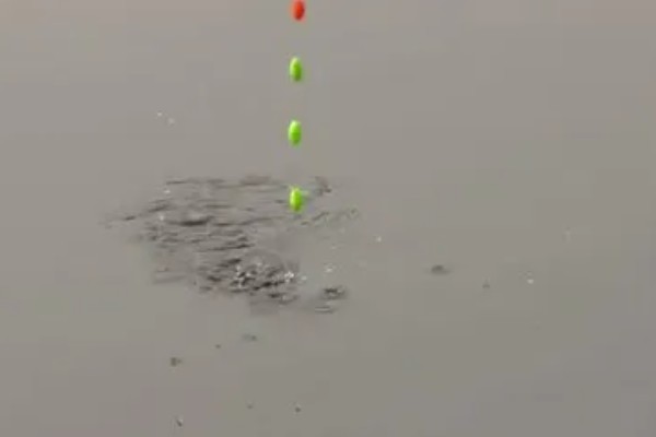 七星漂怎么安装，要先将漂豆安装好