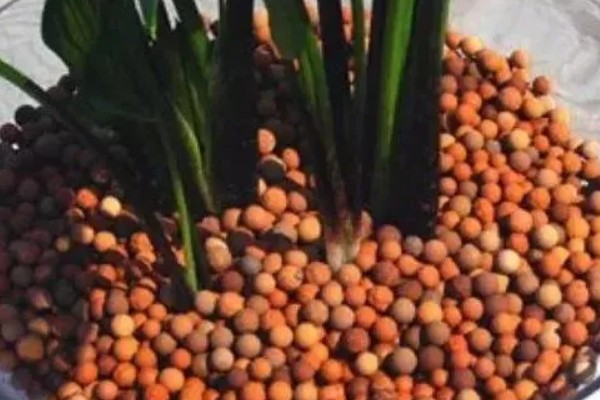 缺口花盆怎么种才能不掉土，先要用土壤填补缺口下端