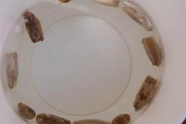 怎么种植葫芦，播种后让土壤保持微湿