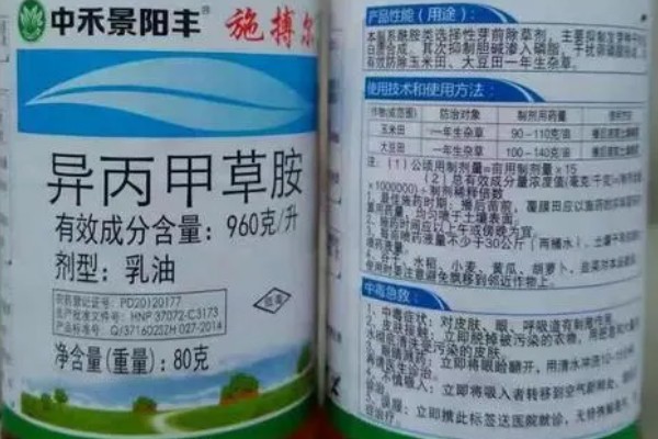 茄子的打叉,第一朵花以下都只留下一个侧芽