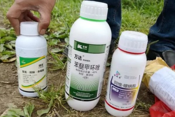 农药合理选用的原则，要因地制宜灵活掌握