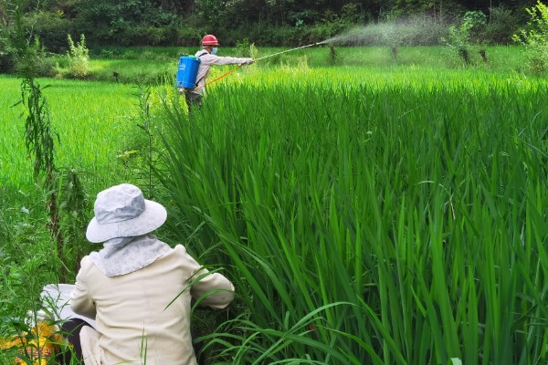 农药合理选用的原则，要因地制宜灵活掌握