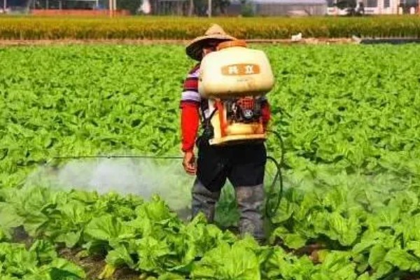 农家肥怎么发酵，堆积期间要翻堆