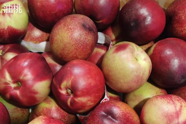 桃子的种类,常见的有水蜜桃、油桃等