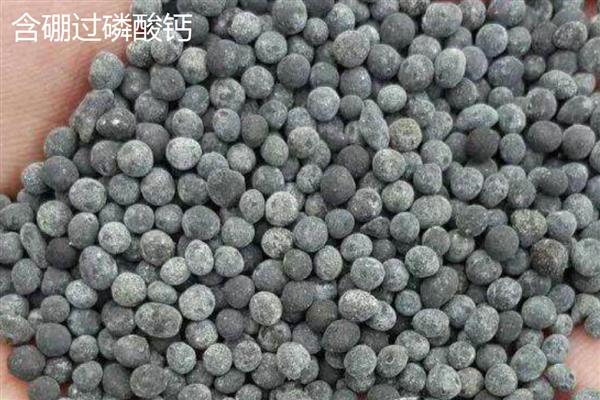 硼肥对作物的作用有哪些，有助于作物根系的生长