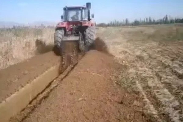 种植小麦的要点，播种后覆盖稻草可提高出苗率