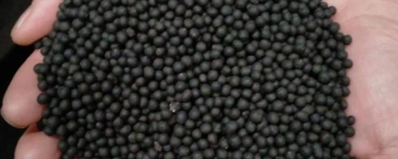 冬春低温期菌肥的使用技术，施用生物菌肥后一定要合理浇水