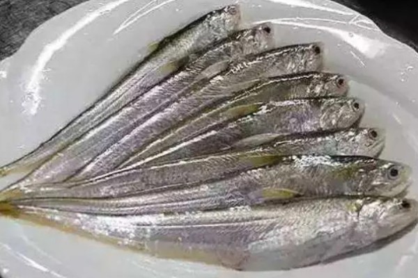 鲚鱼怎么做，以下两种方式可做出美食