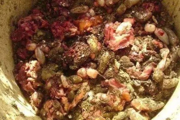钓鲶鱼的最佳饵料，推荐蚯蚓、鸡肝等
