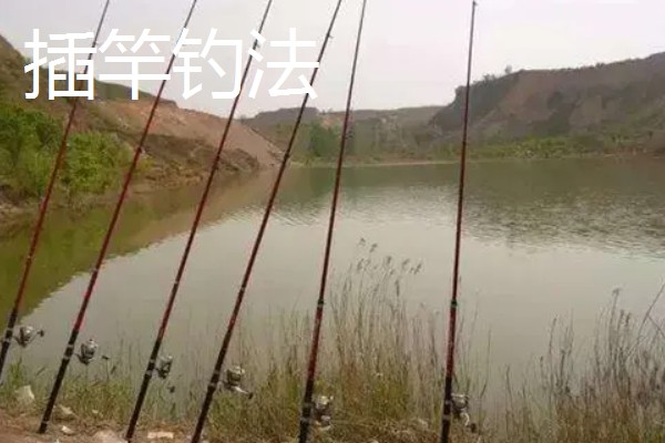 钓鲶鱼的最佳饵料，推荐蚯蚓、鸡肝等