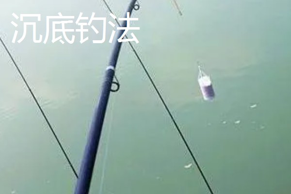 钓鲶鱼的最佳饵料，推荐蚯蚓、鸡肝等
