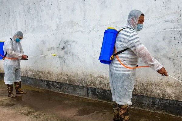 非洲猪瘟用哪种特效药,通常是没有特效药的