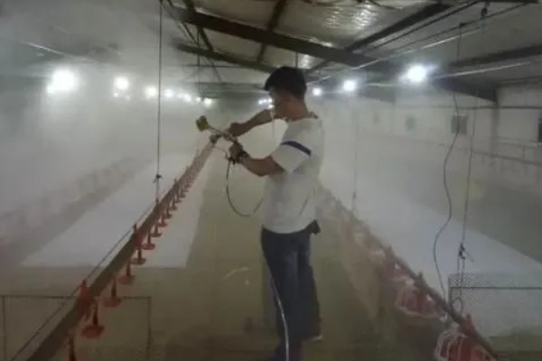 非洲猪瘟用哪种特效药,通常是没有特效药的