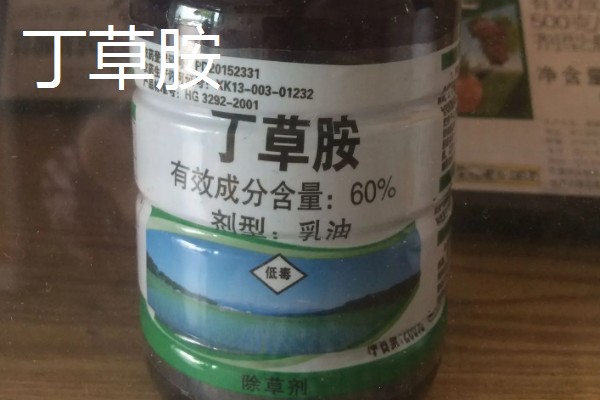 水稻除草剂如何选用，常见的有双草醚、五氟磺草胺、恶唑酰草胺等