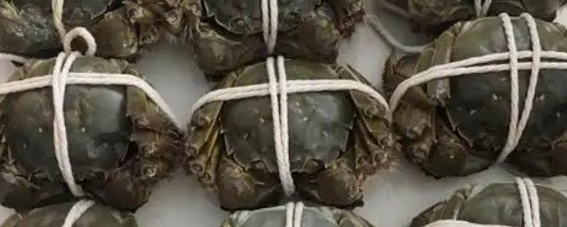 阳澄湖大闸蟹的价格，价格与规格和市场等有关