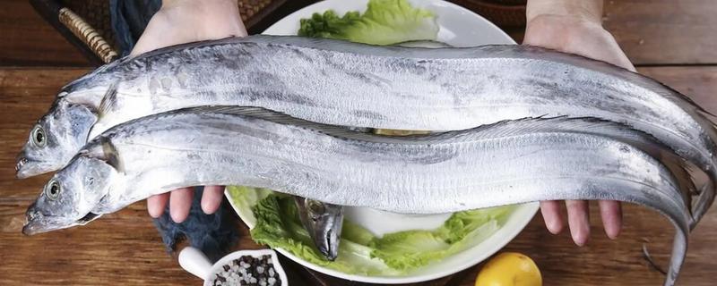 带鱼有没有刺，带鱼有刺