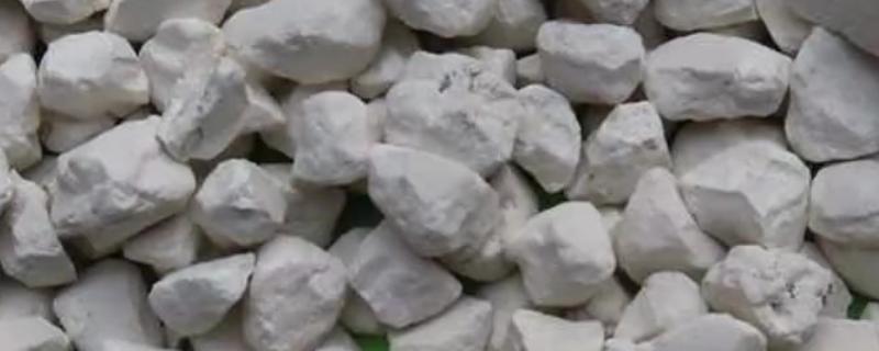 生石灰和熟石灰的区别是什么，成分和形态均不同