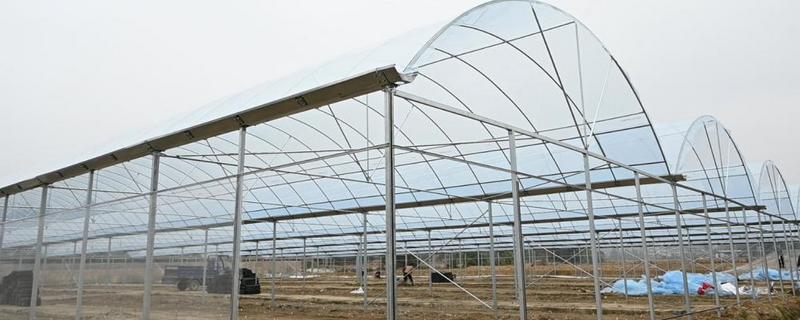 搭建大棚需要哪些材料，骨架材料有竹木杆、水泥杆等